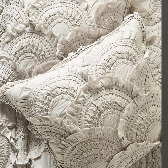 Anthropologie Other - Anthropologie Rivulets Silver EURO Sham Z73-31